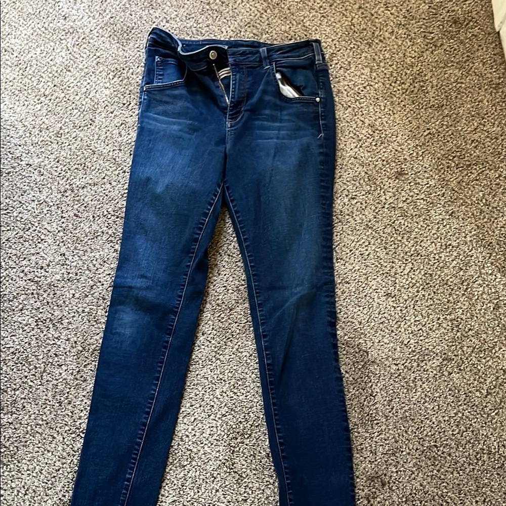 Pilcro and the Letterpress Medium Wash Skinny Jeans
